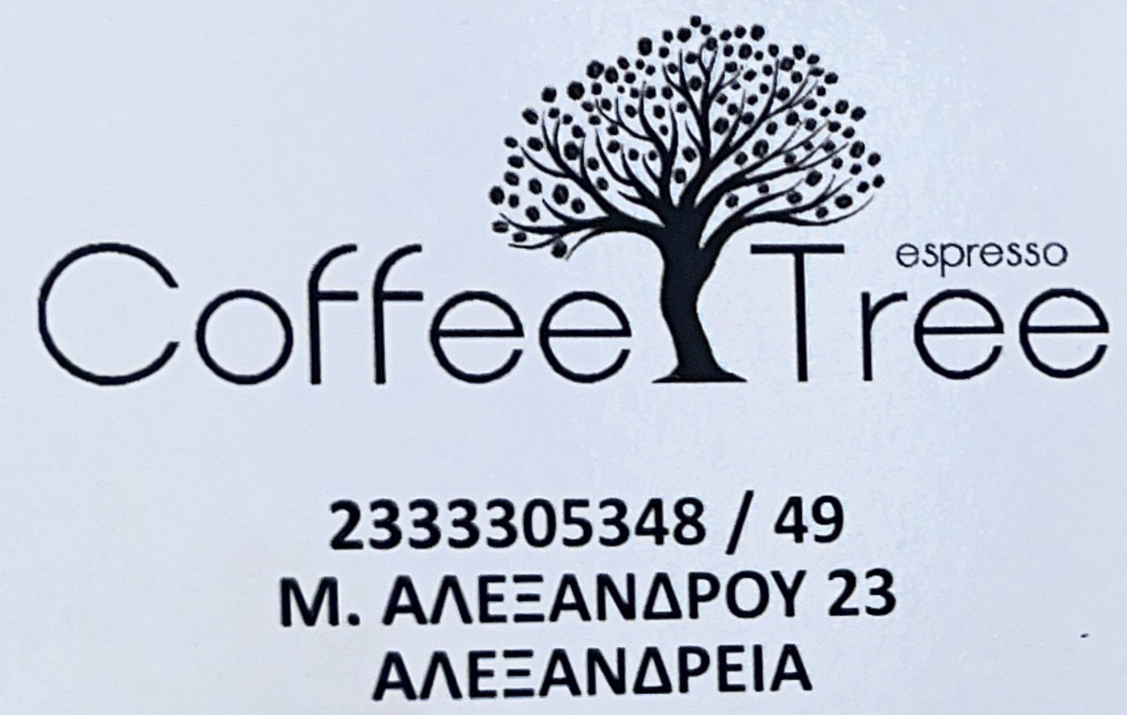 COFFEE TREE